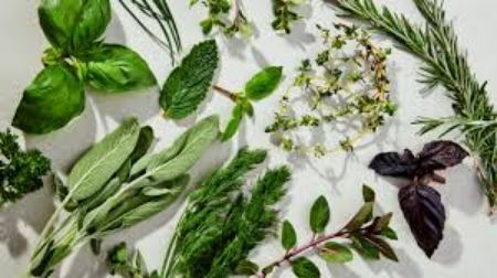 Picture for category Herbs